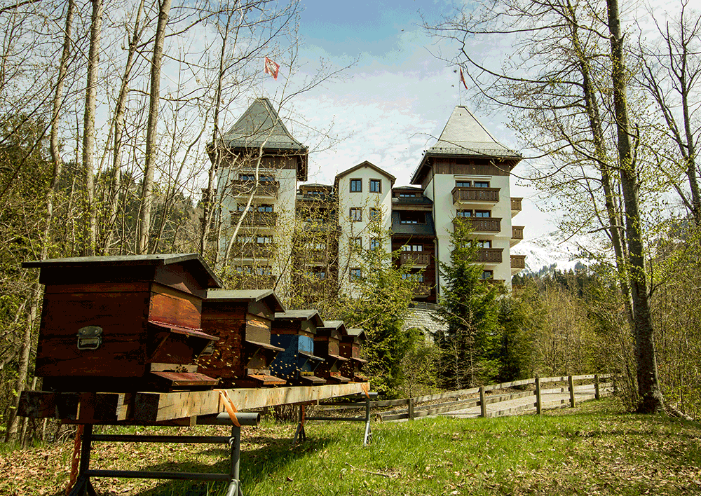 TheAlpinaGstaad_Sustainability_AlpinaBeeHives ( )