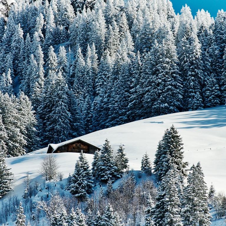 The-Alpina-Gstaad-(9).jpg
