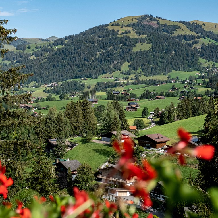 TheAlpinaGstaad_View_05.jpg