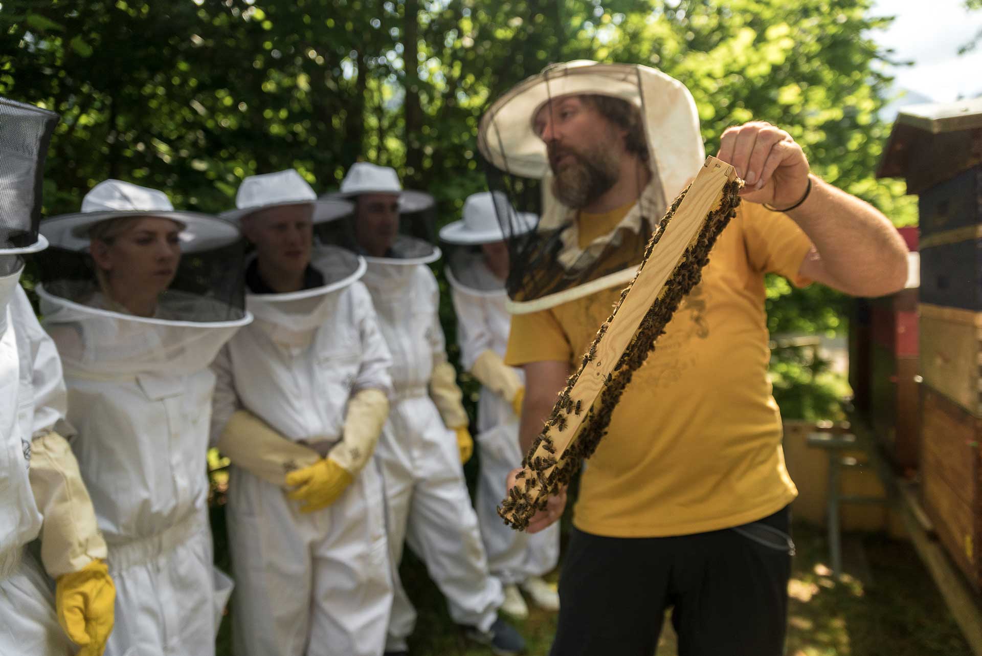 Beekeeping workshop