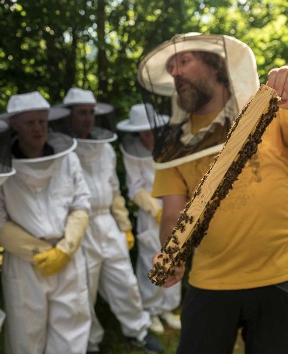 Atelier d'apiculture