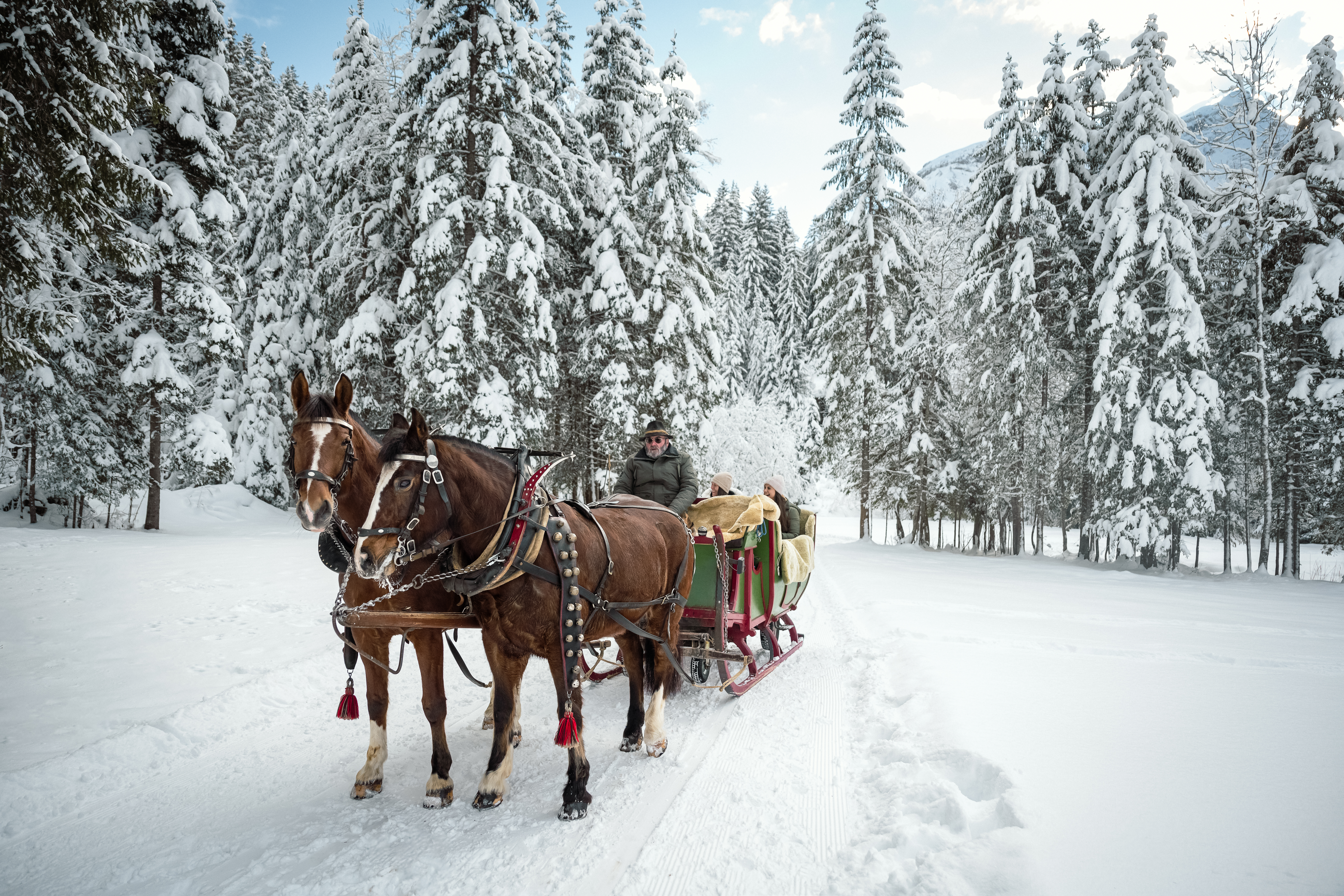 Horse-drawn carriage
