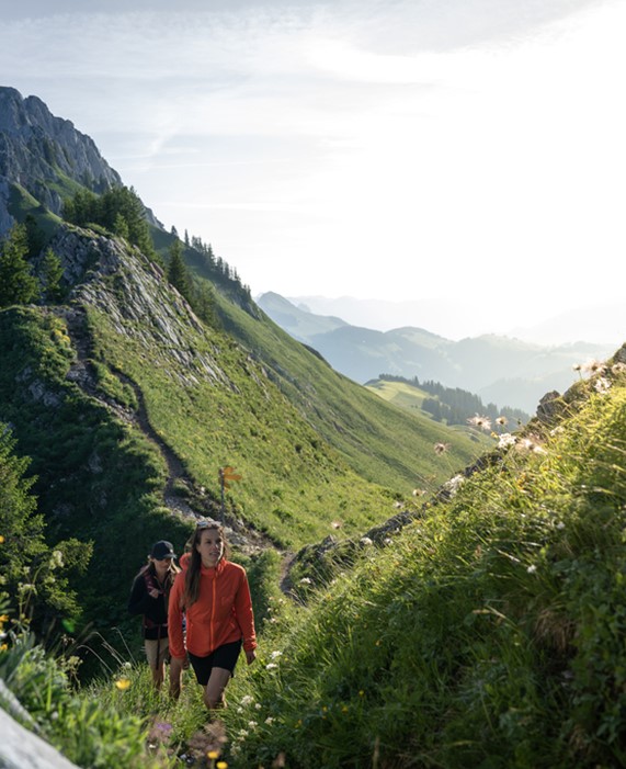 Guided hiking tours