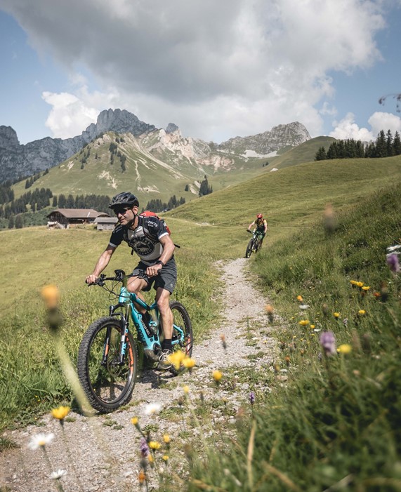 Guided mountain bike tours