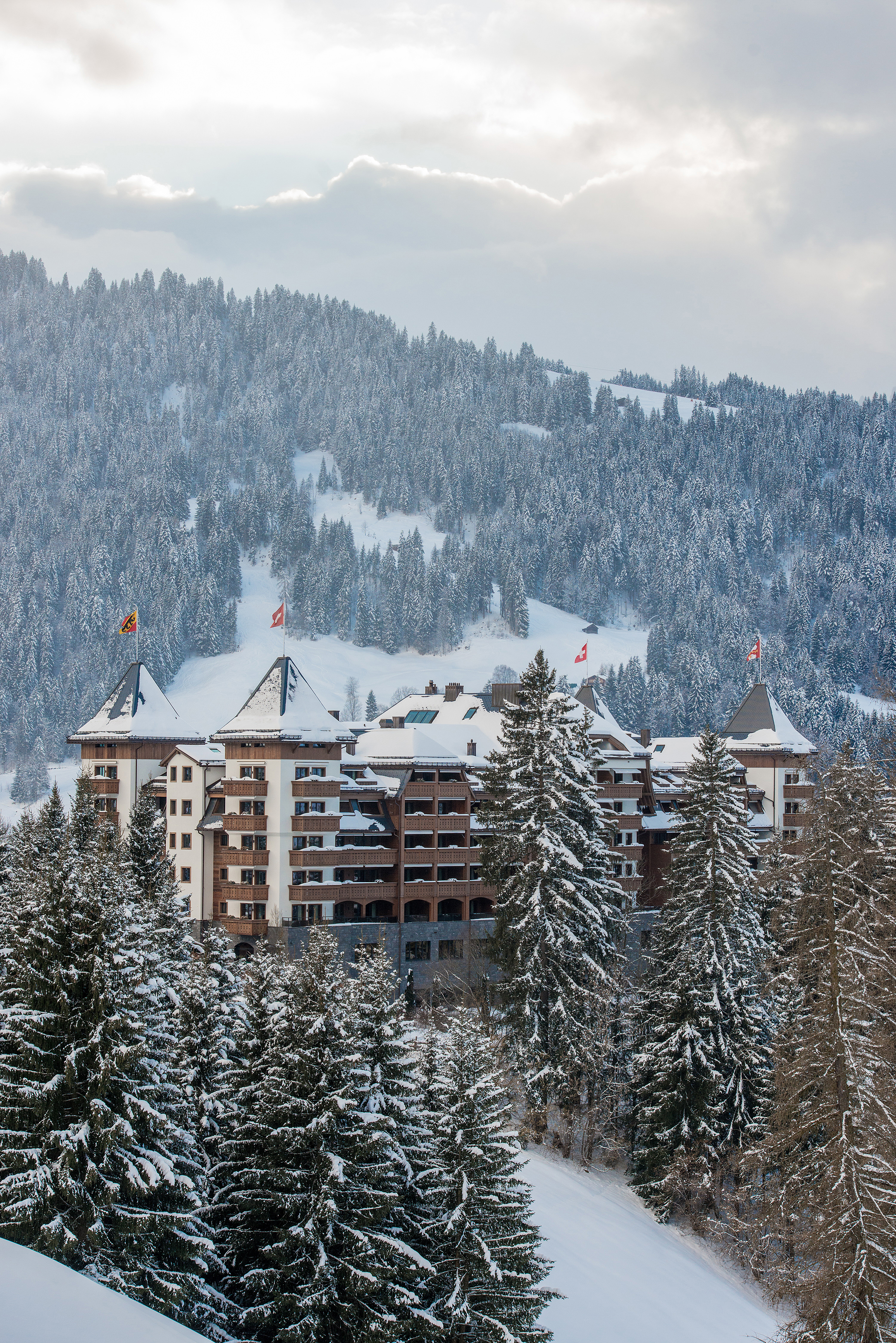 FOU_5925 COPIE_(c)www.foudimages.com.JPG